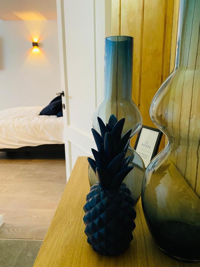 Quinze Et Wellness De Luxe * Ciney